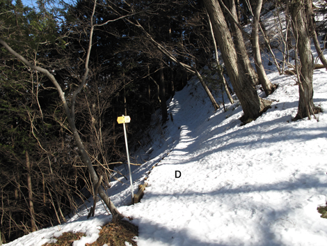 20180126hike (155)